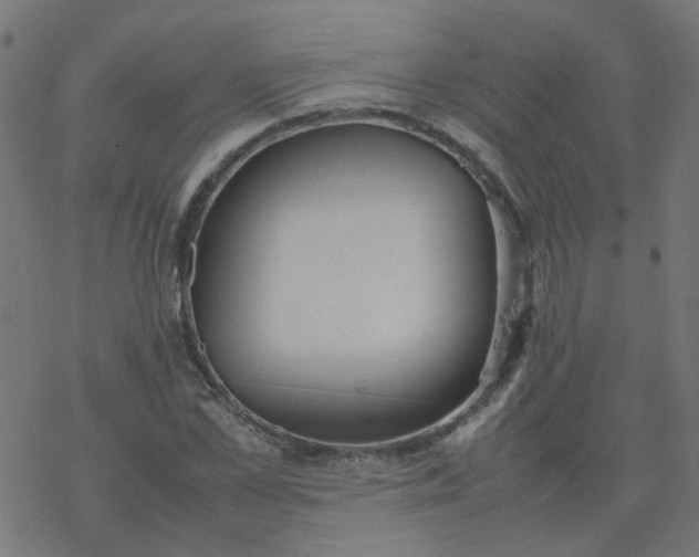 X0000077360973200611031842