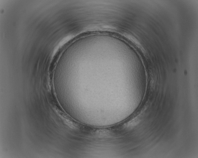 X0000077360974200611031842