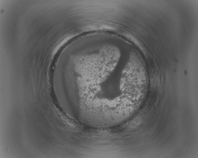 X0000077360975200611031842