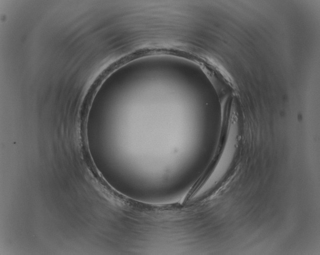 X0000077360976200611031842