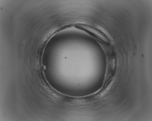 X0000077360977200611031842