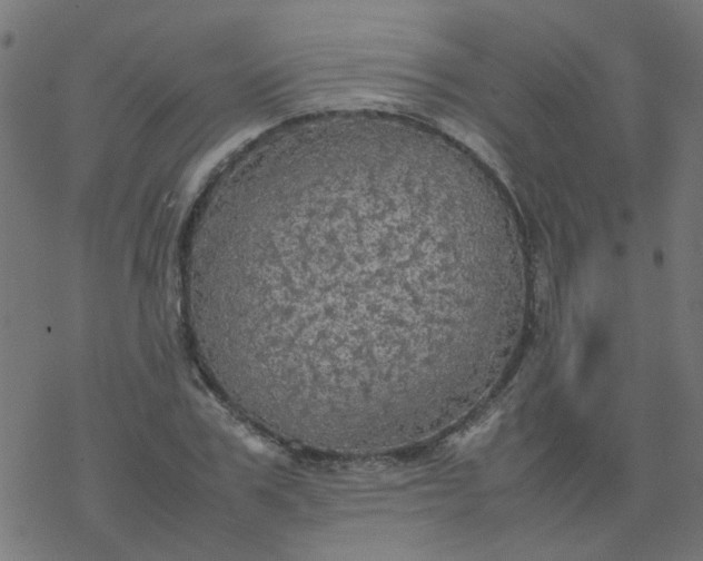 X0000077360979200611031842