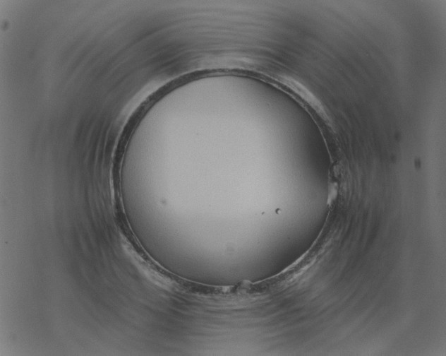 X0000077360980200611031842