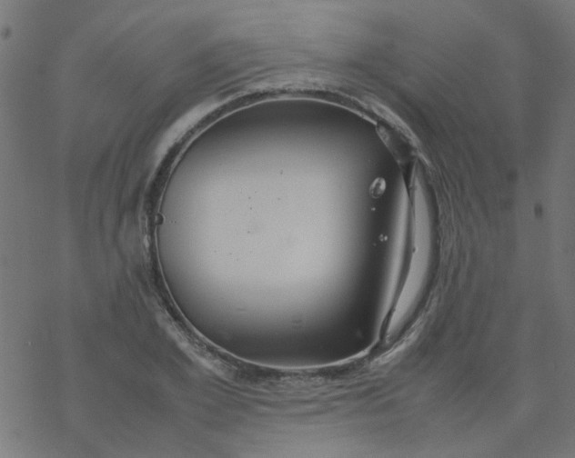 X0000077360981200611031842