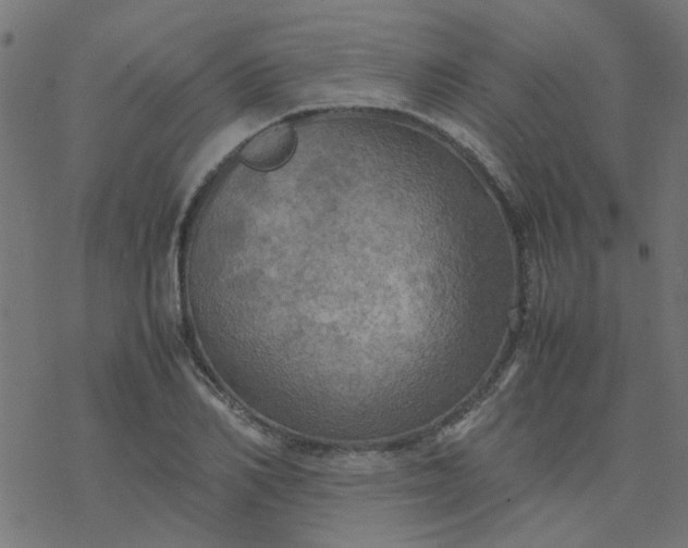 X0000077360982200611031842