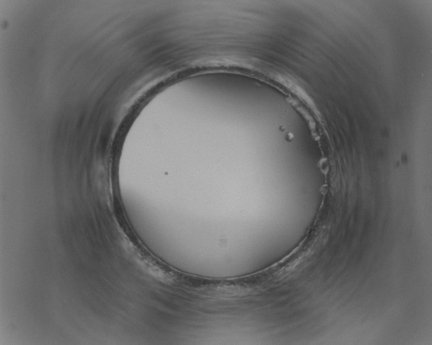 X0000077360984200611031842