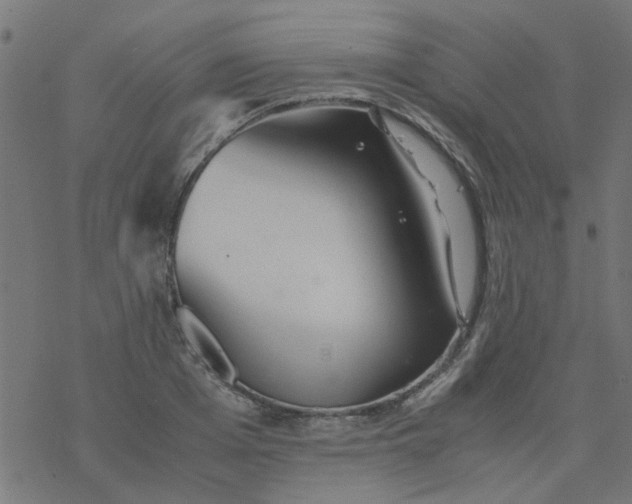 X0000077360985200611031842