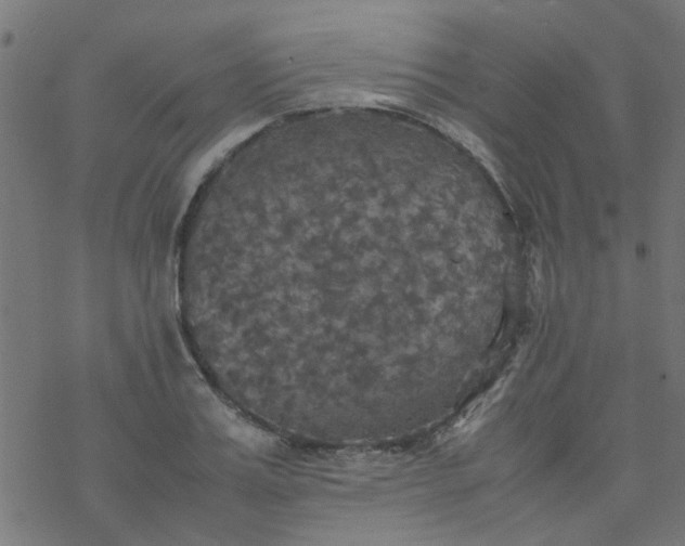 X0000077360987200611031842