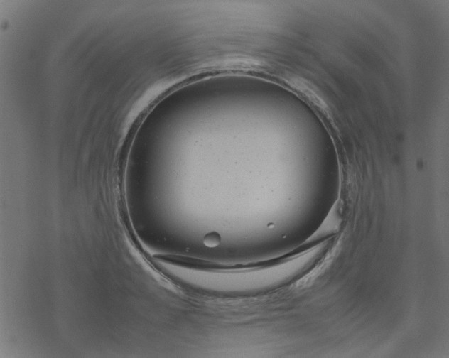 X0000077360989200611031842