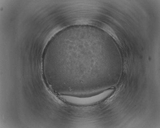 X0000077360992200611031842