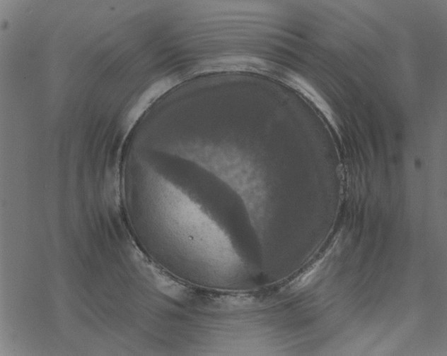 X0000077360994200611031842