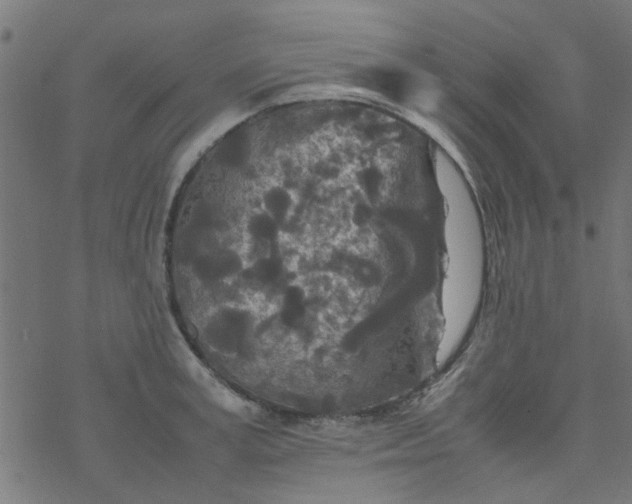 X0000077360995200611031842