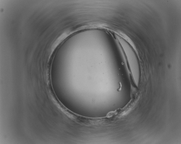 X0000077360997200611031841