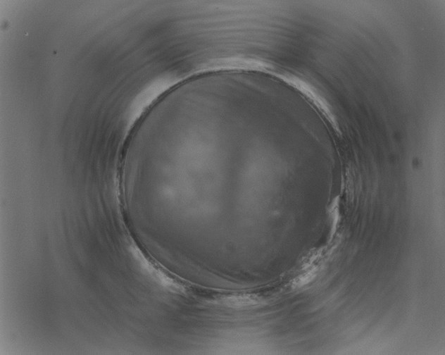 X0000077360998200611031841