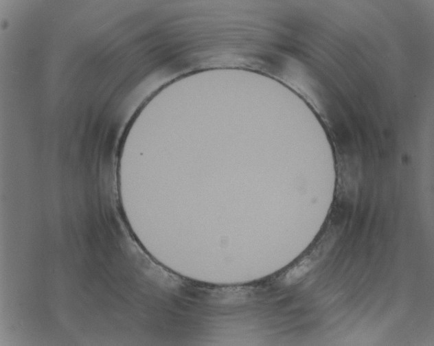 X0000077361000200611031841