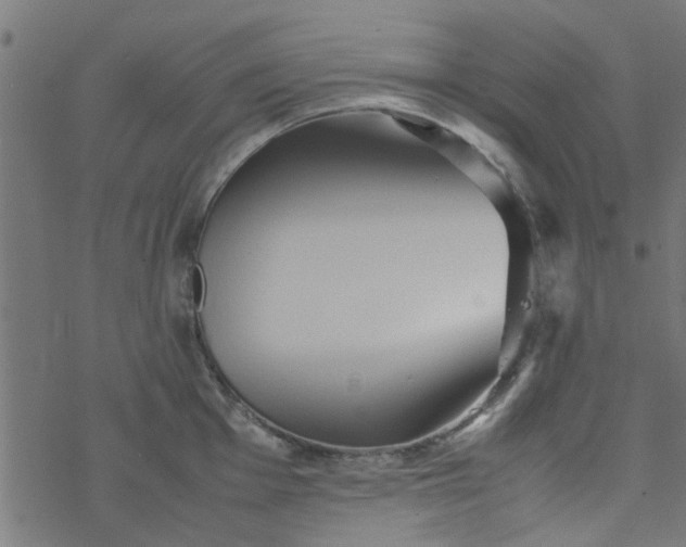 X0000077361001200611031841