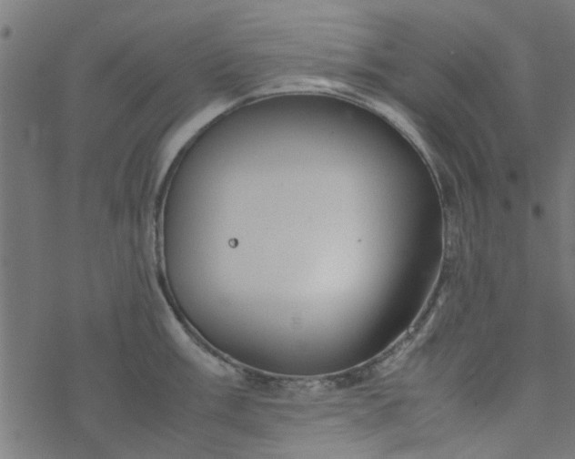 X0000077361003200611031841