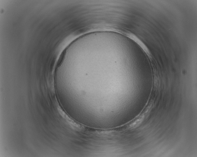 X0000077361004200611031841