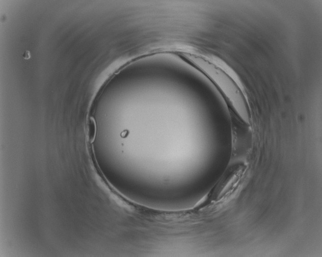 X0000077361005200611031841