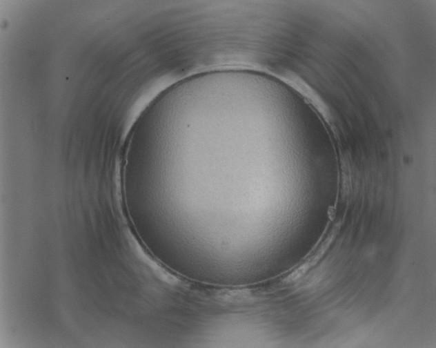 X0000077361006200611031841