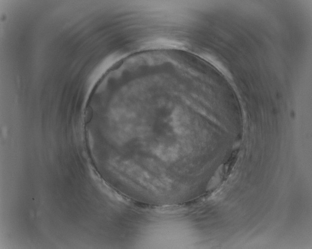 X0000077361008200611031841