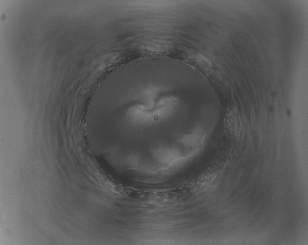 X0000077361009200611031841