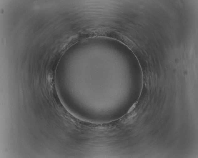 X0000077361010200611031841