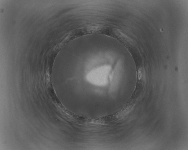 X0000077361011200611031841