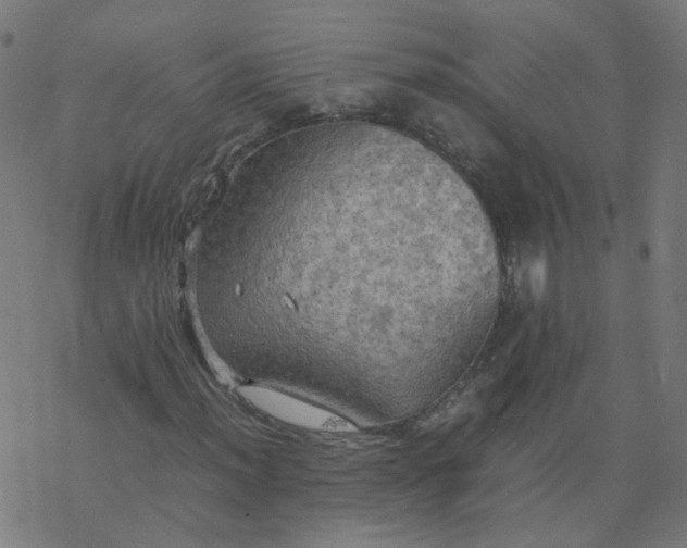 X0000077361012200611031841