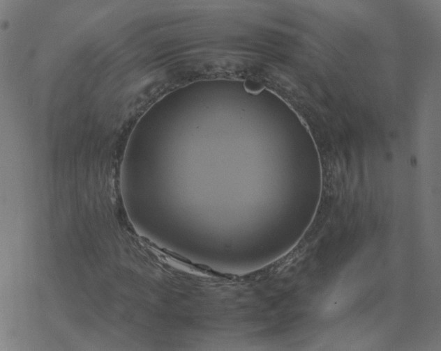 X0000077361013200611031841