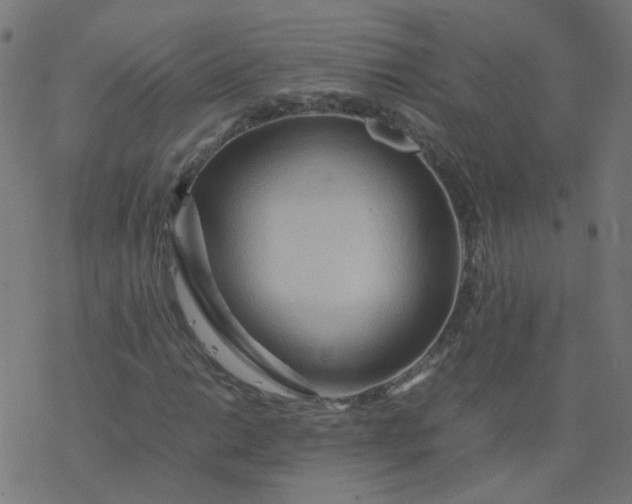 X0000077361014200611031841