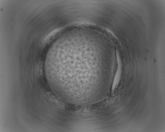 X0000077361016200611031841