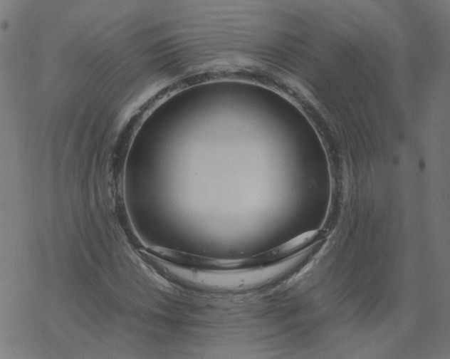 X0000077361018200611031841