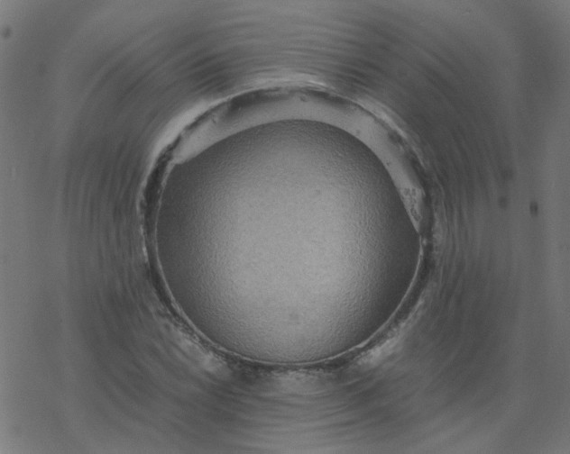 X0000077361022200611031841