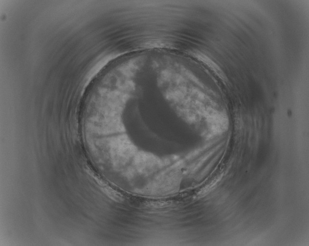 X0000077361023200611031841