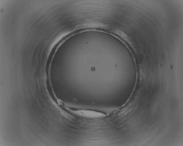 X0000077361024200611031841