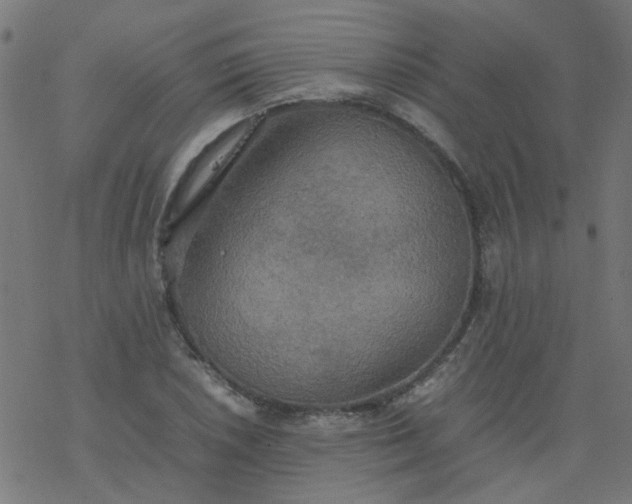 X0000077361026200611031841