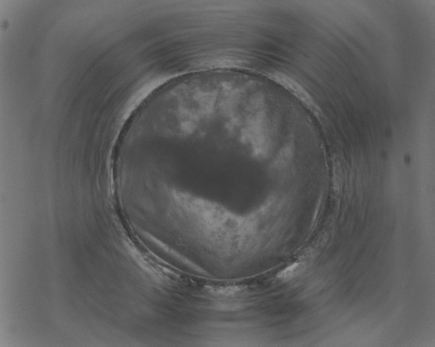 X0000077361031200611031841