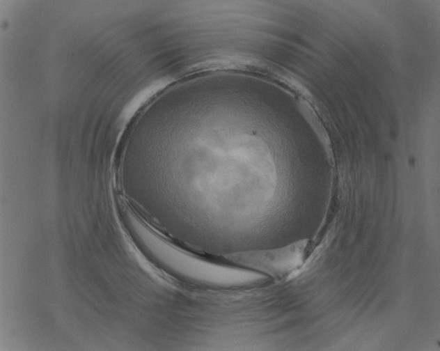 X0000077361034200611031841