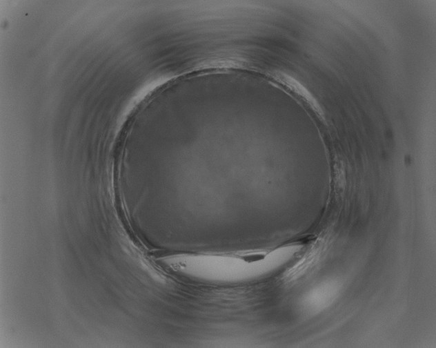 X0000077361035200611031841