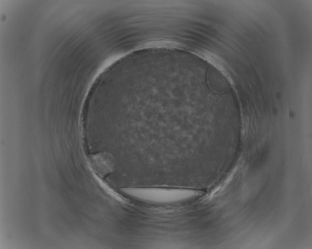 X0000077361037200611031841