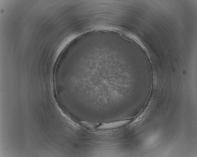 X0000077361048200611031841