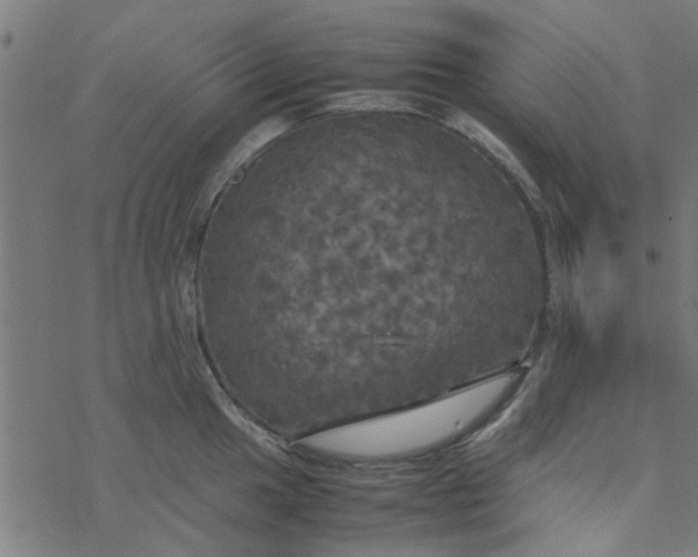 X0000077361049200611031841