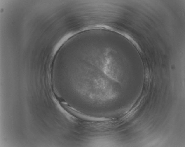 X0000077361054200611031841