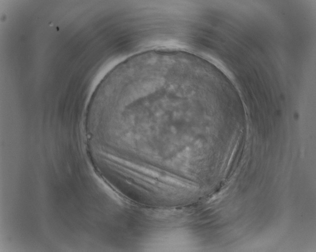 X0000077361056200611031841