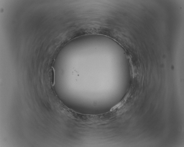 X0000077361057200611031841