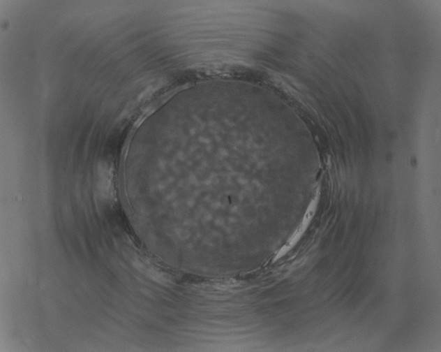 X0000077361060200611031840