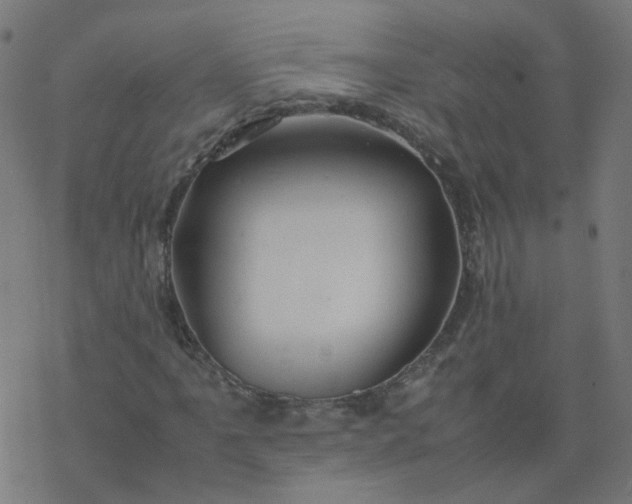 X0000077361061200611031840