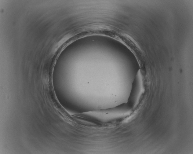 X0000077361065200611031840