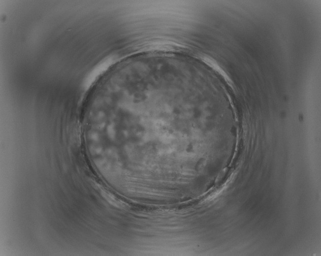 X0000077361067200611031840